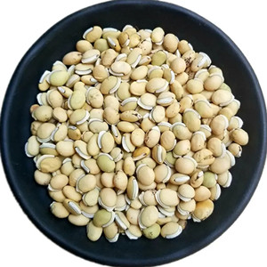 Lentil Seeds