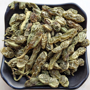 Dried Sophora Japonica