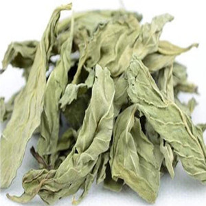 Dried Mint Leaves