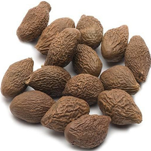 Dried Sterculia Scaphigera