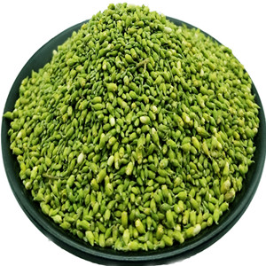 Dried Flos Sophorae Immaturus