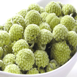 Dried Tibetan Green Radish Flower