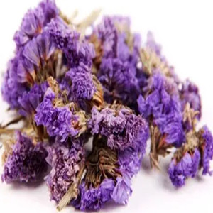 Dried Latouchea Fokiensis Franch