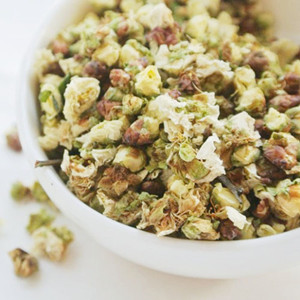 Dried Green Plum Blossom