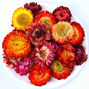 Dried Colorful Chrysanthemum