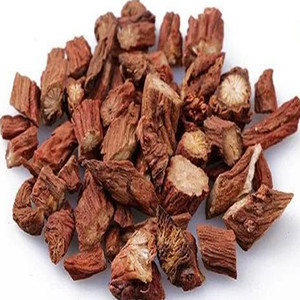 Salvia Miltiorrhiza Root