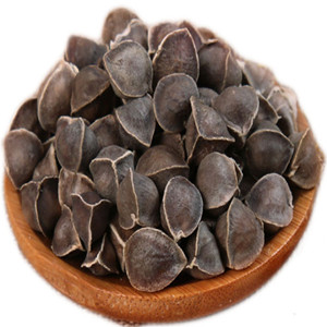 Moringa Seeds