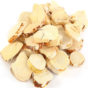 Ficus Hirta Root Slice