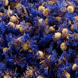Dried Cornflower of Full Size