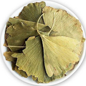 Dried Ginkgo Biloba Leaves