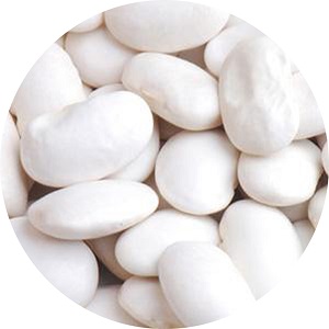 White Bean