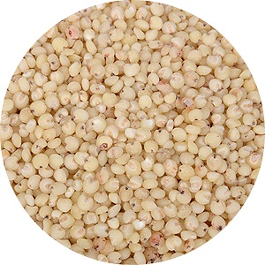 White Sorghum Rice