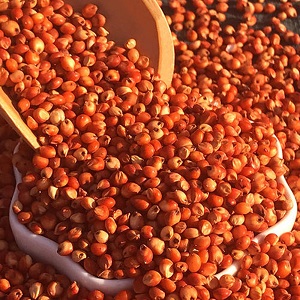 Red Sorghum Rice with Shell