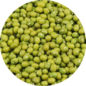 Mung Bean