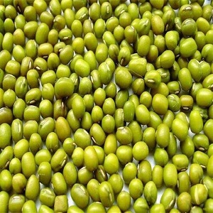 Bright Mung Bean