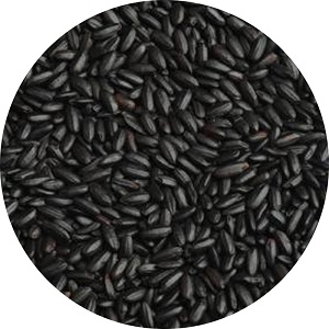 Black Glutinous Rice