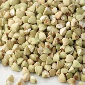 Buckwheat