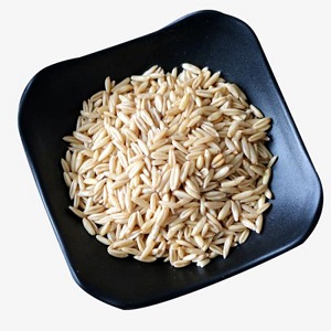 Oat Rice