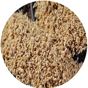 Dehydrated Ginger Granule