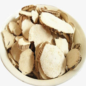 Angelica Dahurica of General Size