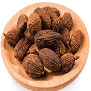 Amomum Tsaoko of General Size