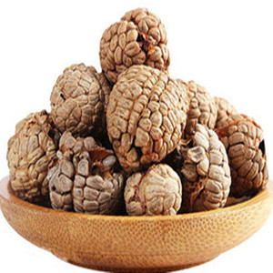 Alpinia Japonica of General Size 