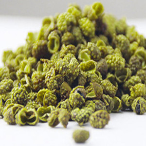 Green Prickly Ash of General Size