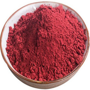 Powder of Red Yeast Rice 