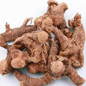 Alpinia Ginger of General Size