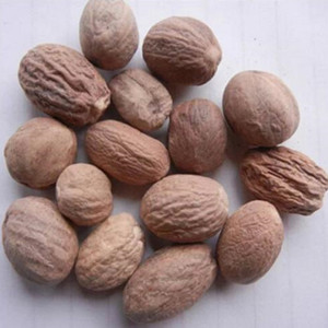 Natural Nutmeg of General Size
