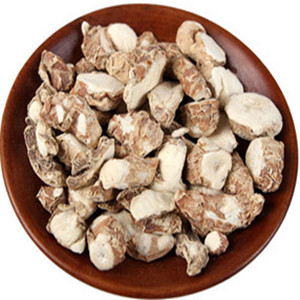 Rhizoma Kaempferiae of General Size