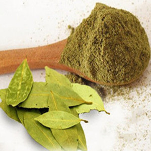 Myrcia Powder of General Mesh