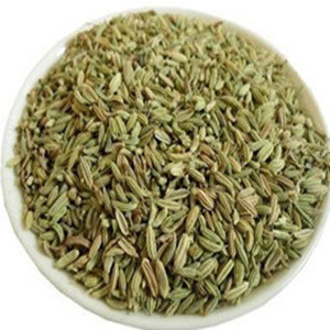 Natural Fennel of General Size