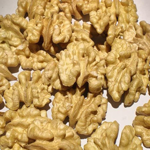 Raw Walnut Kernel in Full Shape