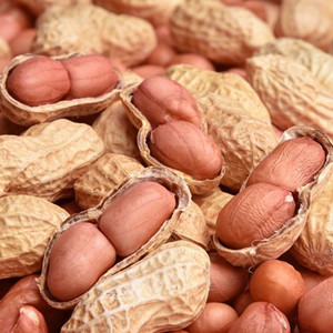 Raw peanut inshell of inner pink skin kernel