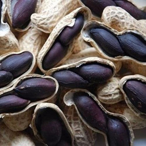 Raw peanut inshell of inner black skin kernel