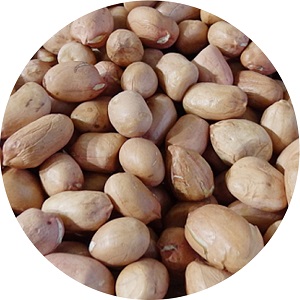 Raw peanut kernel of brown skin