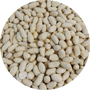 Blanched peanut kernel of long shape