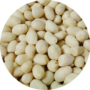 Blanched peanut kernel of round shape