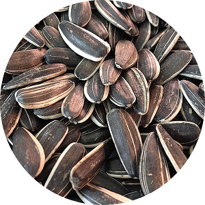 Raw Sunflower Seeds Inshell 5009