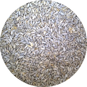 Raw Sunflower Seeds Kernel of Confectionery Grade