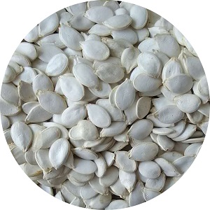 Raw Snow White Pumpkin Seeds Inshell