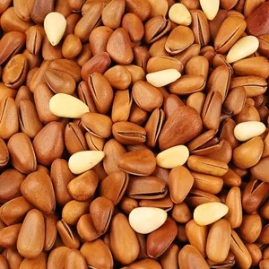 Raw Pine Nut