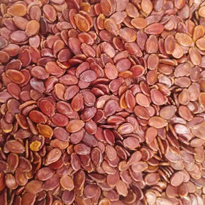 Raw Red Watermelon Seeds Inshell