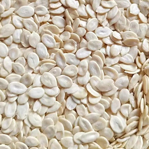 Raw Watermelon Seeds Kernel
