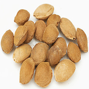 Apricot Kernel with Shell