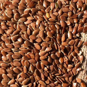 Brown Flaxseed 