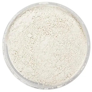 Litchi Powder