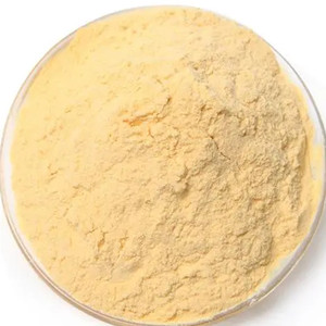 Papaya Powder