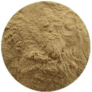 Burdock Powder